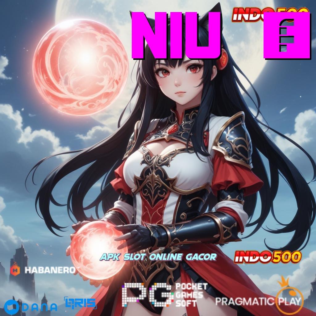 Niu 6