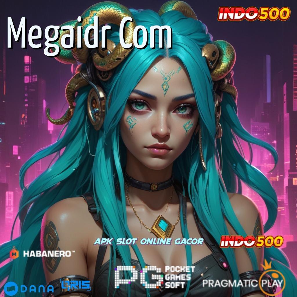 Megaidr Com