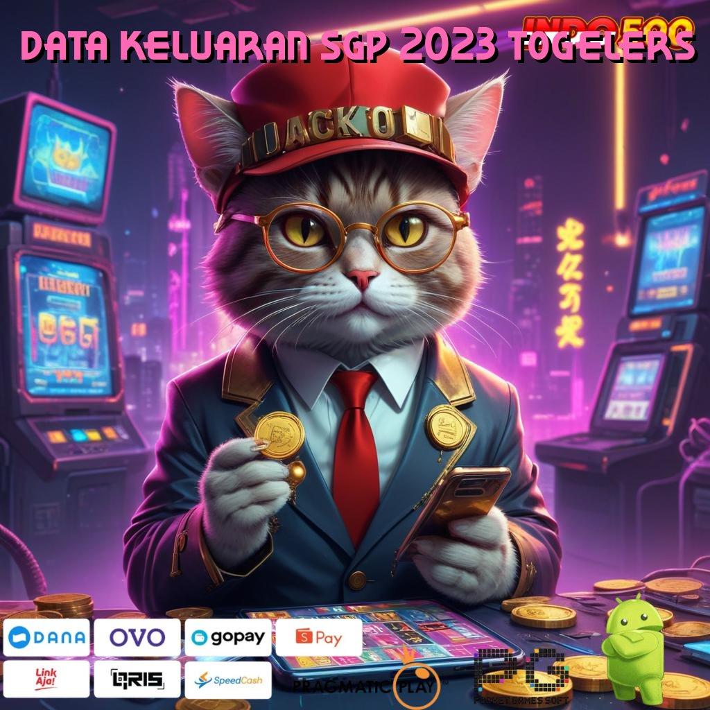 DATA KELUARAN SGP 2023 TOGELERS jalan pintas saluran informasi penghubung eksternal