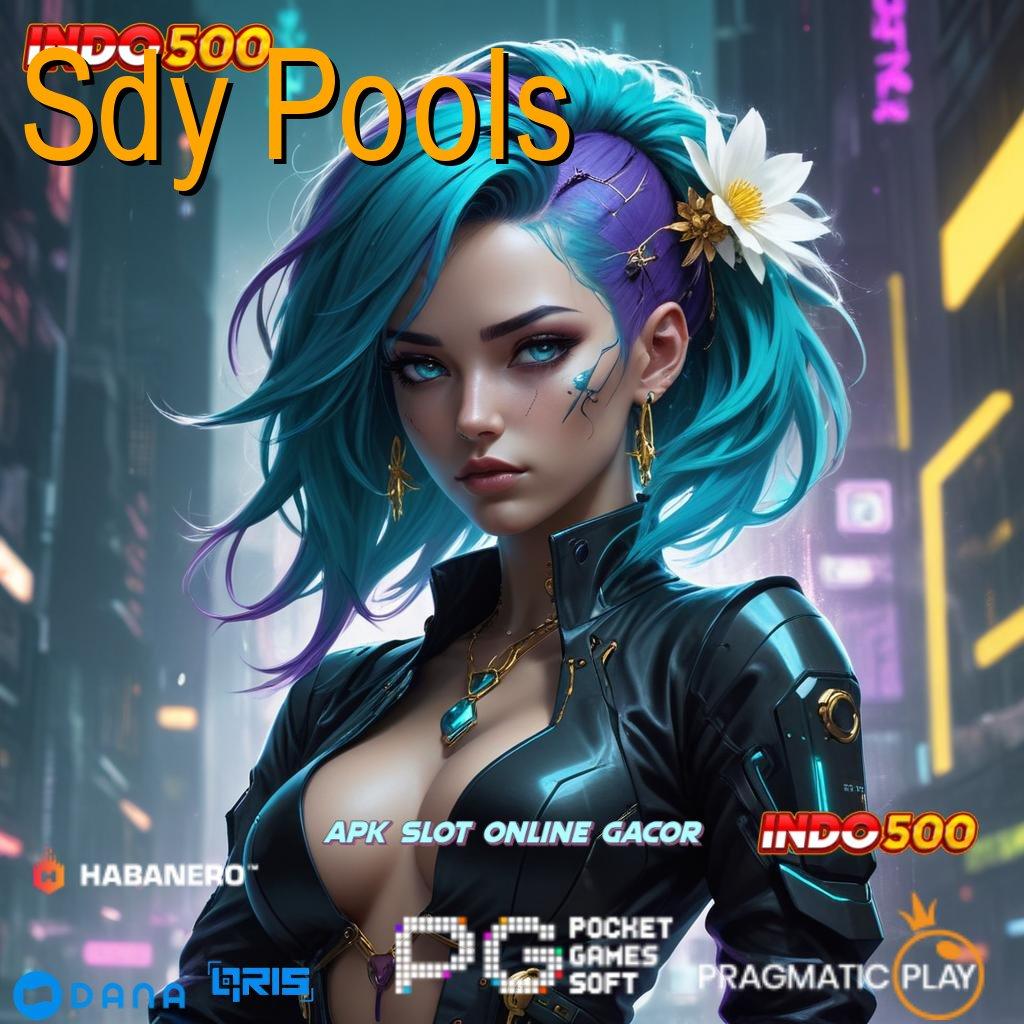 Sdy Pools