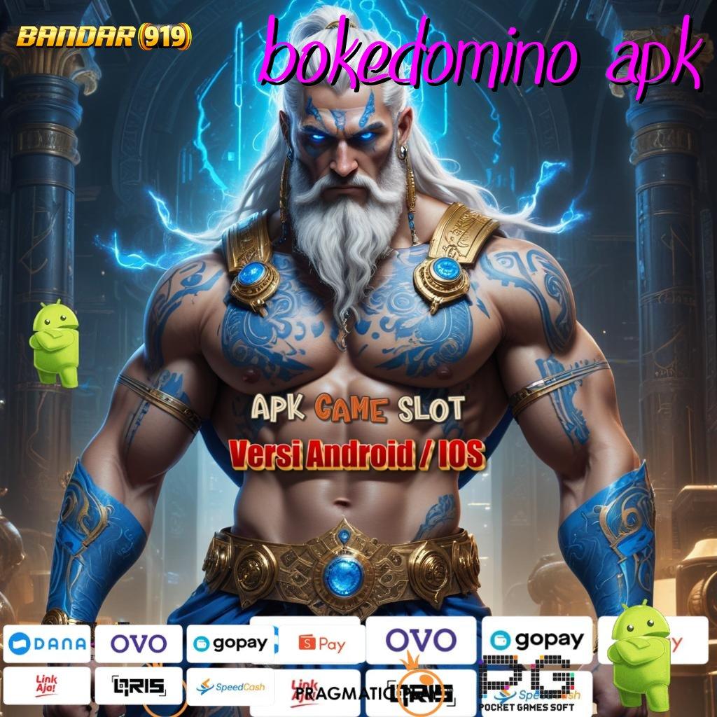 BOKEDOMINO APK > rekapitulasi kemenangan